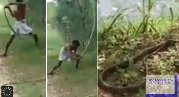 Photos: Dad Kills Cobra With Bare Hands After The Snake Killed His Son 